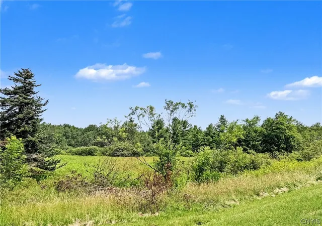 Photo 4 of Manufactured home for sale at 6097 Baldwin Corners Rd, Cincinnatus, NY 13040 | MLS# S1701446 | Listing updated on 2026-07-24