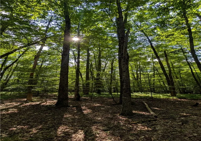 47th image of 2072 Frank Slawson Rd, Oneonta, NY 13820 | MLS# R1701412