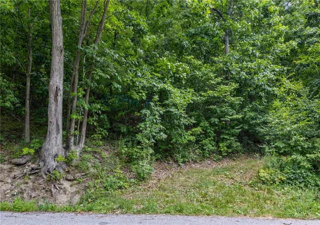 3rd image of Dug Rd, Naples, NY 14512 | MLS# R1697606