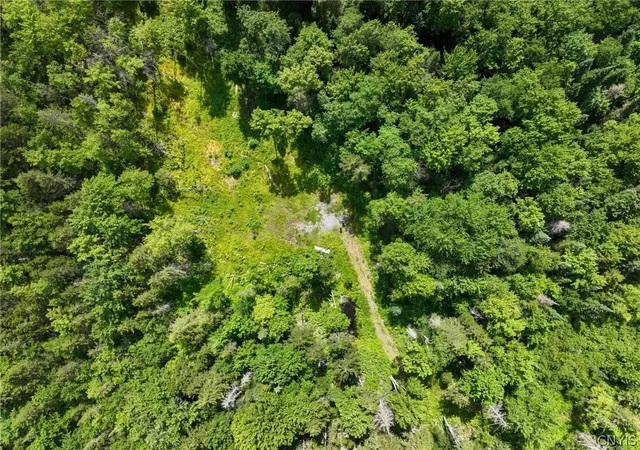 Photo 2 of Land for sale at Lot #6 Kirkland Rd, Forestport, NY 13338 | MLS# S1701350 | Listing updated on 2026-07-26