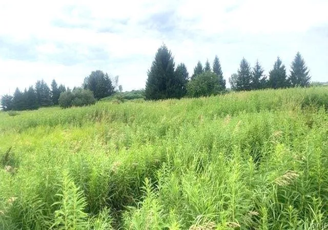1st image of Rockbrook Estates Rd Rd, Evans Mills, NY 13637 | MLS# S1701457