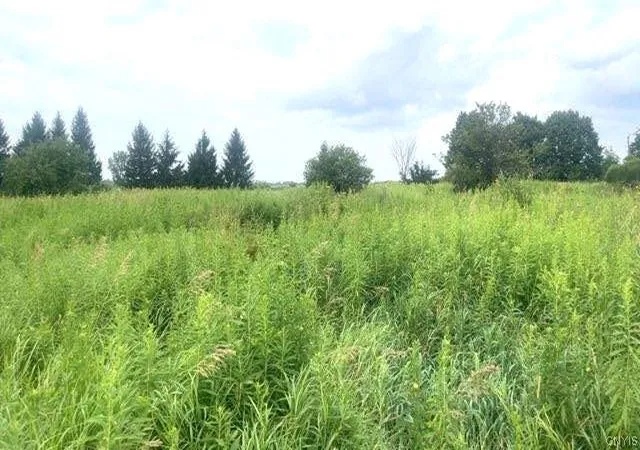 2nd image of Rockbrook Estates Rd Rd, Evans Mills, NY 13637 | MLS# S1701457