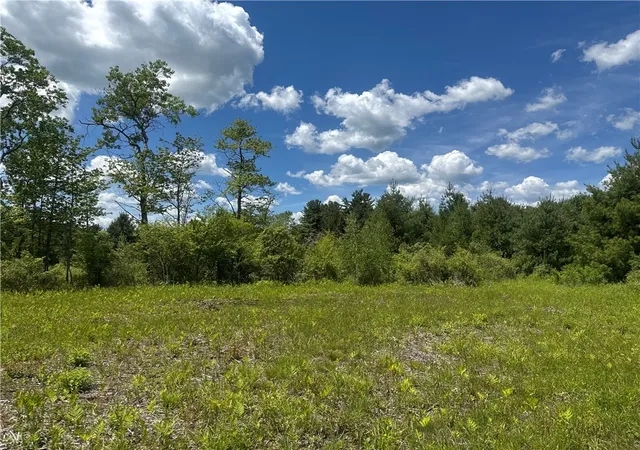 38th image of 2295 State Hwy 206, Coventry, NY 13778 | MLS# R1701375