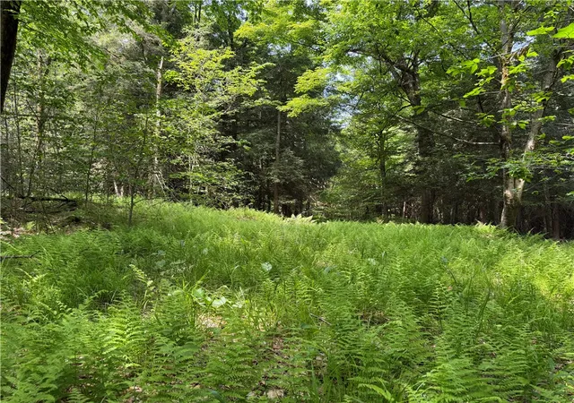 Photo 1 of Land for sale at Vl 106 Road, Alma, NY 14708 | MLS# R1701847 | Listing updated on 2026-07-27
