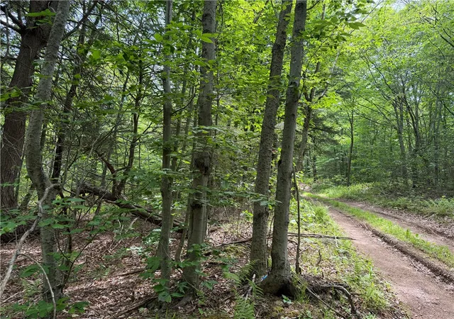Photo 4 of Land for sale at Vl 106 Road, Alma, NY 14708 | MLS# R1701847 | Listing updated on 2026-07-27