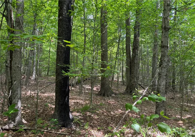 Photo 5 of Land for sale at Vl 106 Road, Alma, NY 14708 | MLS# R1701847 | Listing updated on 2026-07-27