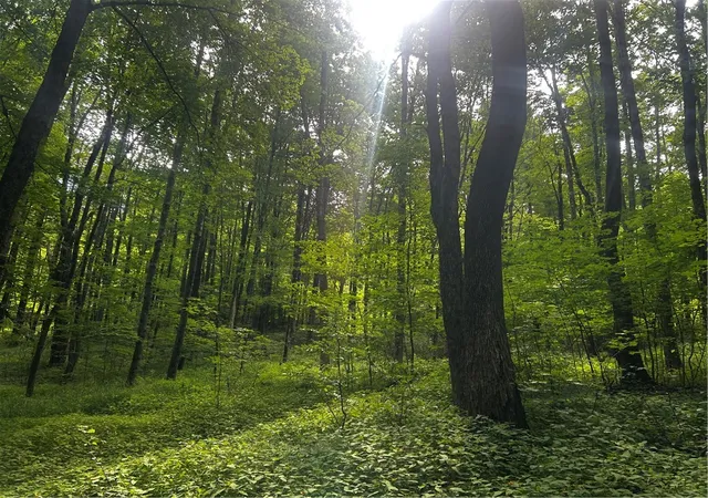 1st image of Ivan Mereness Rd, Decatur, NY 12197 | MLS# R1701623