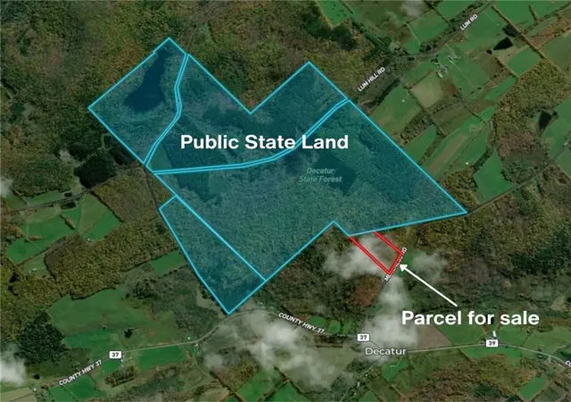 3rd image of Ivan Mereness Rd, Decatur, NY 12197 | MLS# R1701623