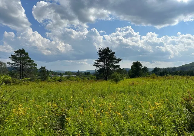 Photo 1 of Sale Pending at 0 Cr 17, Friendship, NY 14739 | MLS# R1701982 | Listing updated on 2026-07-31