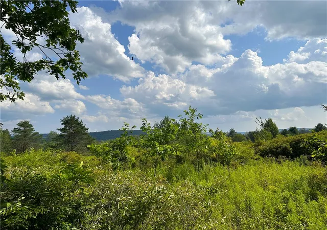 Photo 2 of Sale Pending at 0 Cr 17, Friendship, NY 14739 | MLS# R1701982 | Listing updated on 2026-07-31