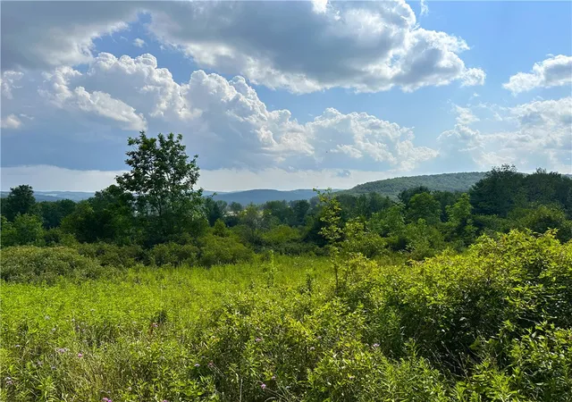 Photo 3 of Sale Pending at 0 Cr 17, Friendship, NY 14739 | MLS# R1701982 | Listing updated on 2026-07-31