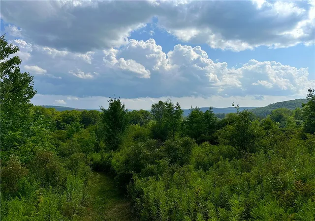 Photo 4 of Sale Pending at 0 Cr 17, Friendship, NY 14739 | MLS# R1701982 | Listing updated on 2026-07-31