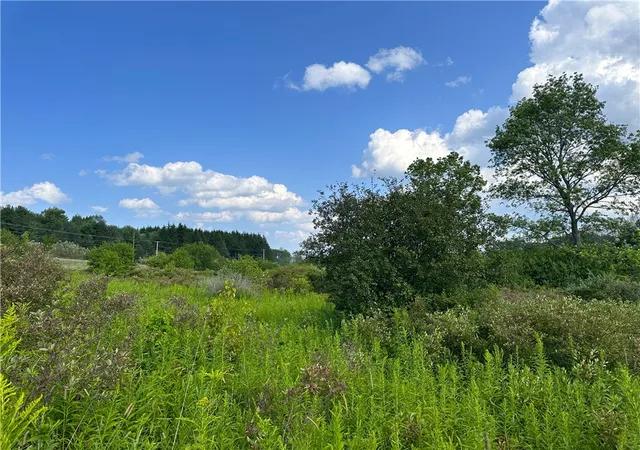 Photo 5 of Sale Pending at 0 Cr 17, Friendship, NY 14739 | MLS# R1701982 | Listing updated on 2026-07-31
