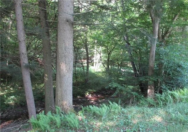 28th image of 1551 County Hwy 3, Butternuts, NY 13776 | MLS# R1701182