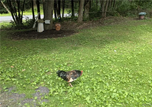 Photo 5 of Manufactured home for sale at 128 Seely Hl Rd, Newfield, NY 14867 | MLS# S1702143 | Listing updated on 2026-07-28