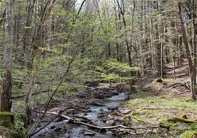 Photo 2 of Land for sale at 5373 Pigtail Rd, Friendship, NY 14739 | MLS# R1701870 | Listing updated on 2026-07-28
