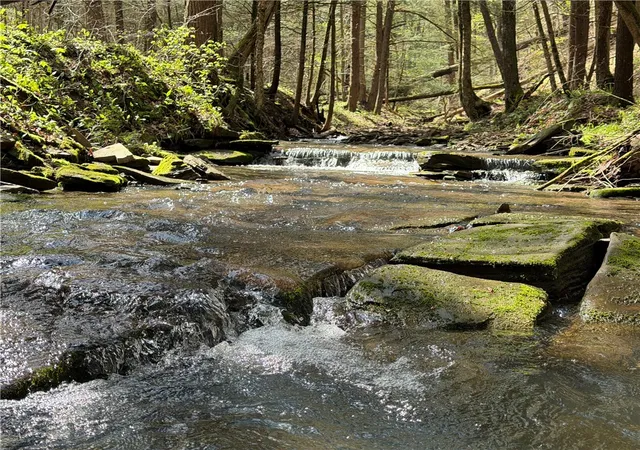 Photo 3 of Land for sale at 5373 Pigtail Rd, Friendship, NY 14739 | MLS# R1701870 | Listing updated on 2026-07-28