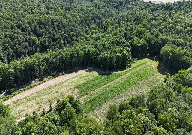 40th image of 5132 County Route 25 N, Cameron Mills, NY 14820 | MLS# R1701660