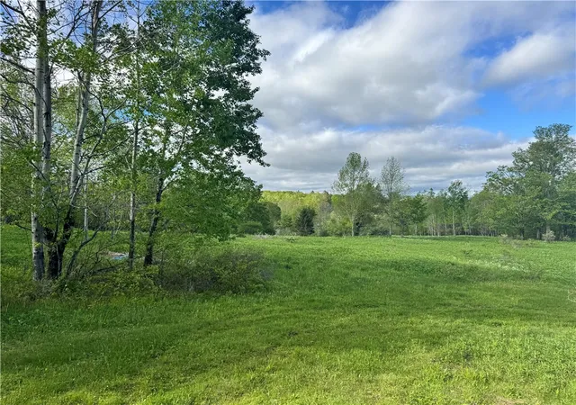Photo 1 of Land for sale at Lot 11 Meadow Brk Dr, Margaretville, NY 12455 | MLS# R1701818 | Listing updated on 2026-07-30