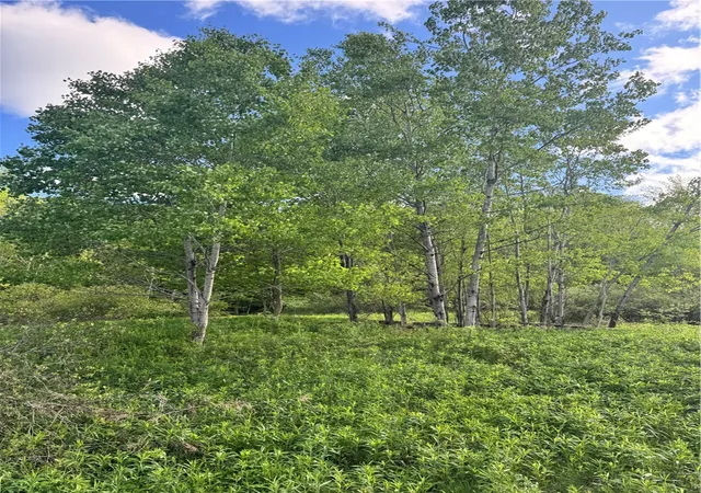 Photo 4 of Land for sale at Lot 11 Meadow Brk Dr, Margaretville, NY 12455 | MLS# R1701818 | Listing updated on 2026-07-30