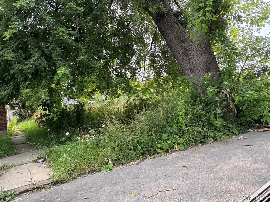 Photo 1 of Land for sale at 1119 La Salle Ave, Niagara Falls, NY 14301 | MLS# B1701837 | Listing updated on 2026-10-27
