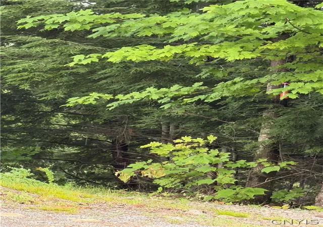 1st image of Rogers Crossing Rd, Carthage, NY 13619 | MLS# S1702393