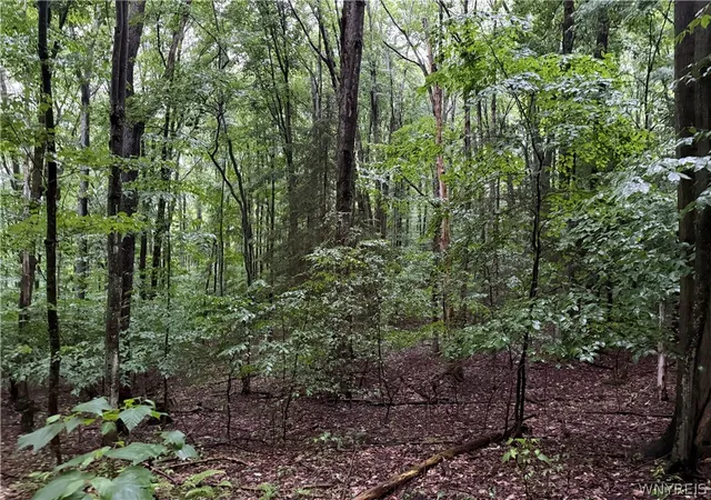 Photo 4 of Land for sale at 951 Long Holw Ext Rd, Olean, NY 14760 | MLS# B1702581 | Listing updated on 2026-08-02