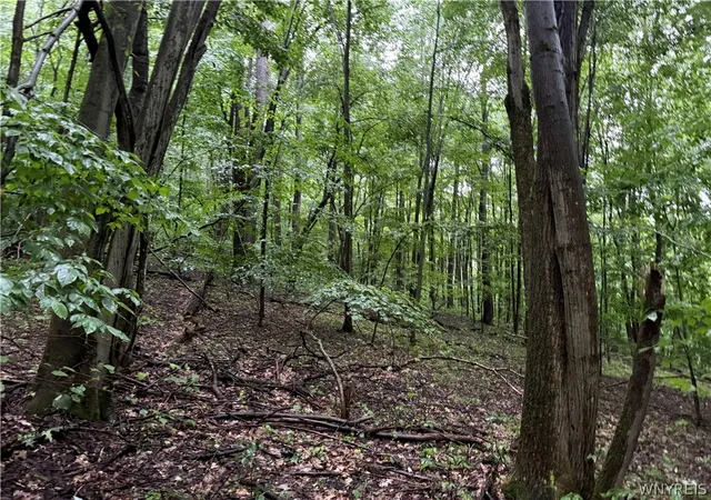 Photo 5 of Land for sale at 951 Long Holw Ext Rd, Olean, NY 14760 | MLS# B1702581 | Listing updated on 2026-08-02