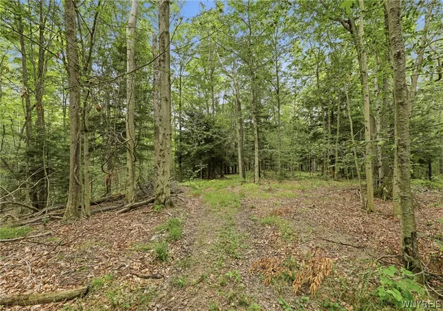 4th image of 10788 Partridge Rd, Holland, NY 14080 | MLS# B1702192
