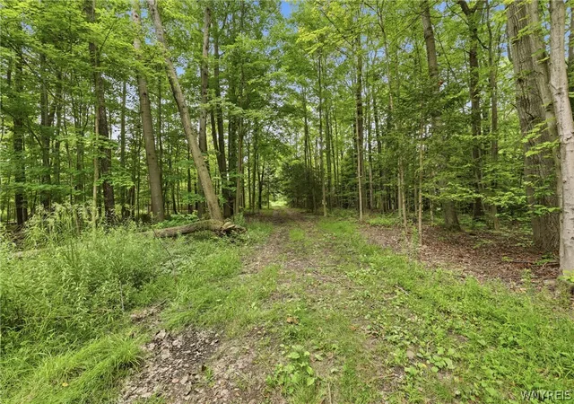 5th image of 10788 Partridge Rd, Holland, NY 14080 | MLS# B1702192