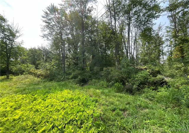 4th image of 4720 Shadigee Rd, Wilson, NY 14108 | MLS# B1702373