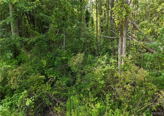 9th image of 4720 Shadigee Rd, Wilson, NY 14108 | MLS# B1702373