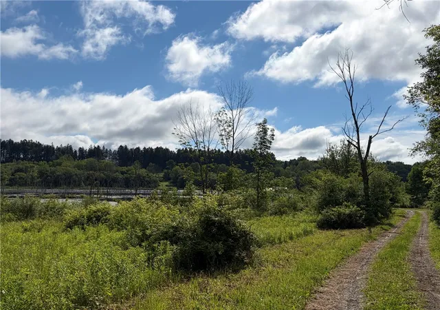 Photo 3 of Land for sale at 0 Banks Rd, Gainesville, NY 14066 | MLS# R1702645 | Listing updated on 2026-07-29