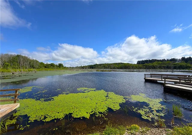 Photo 4 of Land for sale at 0 Banks Rd, Gainesville, NY 14066 | MLS# R1702645 | Listing updated on 2026-07-29