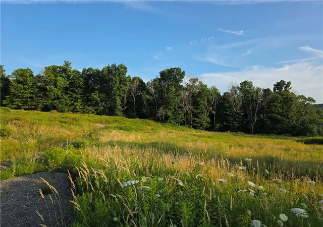 1st image of 652 Ideuma Rd, Unadilla, NY 13849 | MLS# R1701688