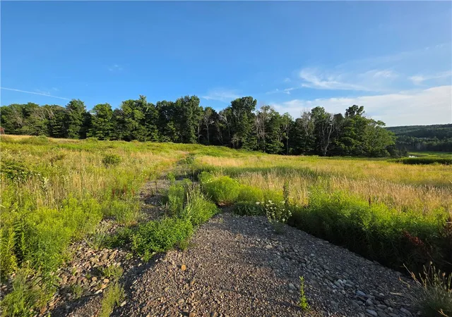 3rd image of 652 Ideuma Rd, Unadilla, NY 13849 | MLS# R1701688