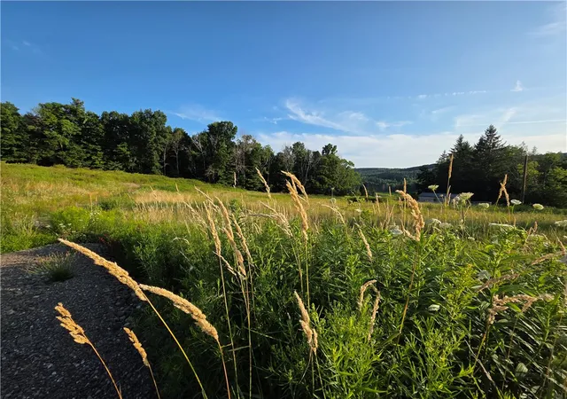 5th image of 652 Ideuma Rd, Unadilla, NY 13849 | MLS# R1701688