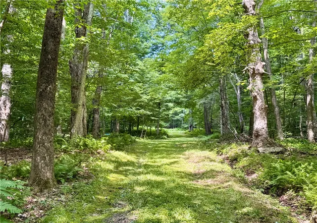 Photo 2 of Land for sale at 253 Davis Holw Rd, Andes, NY 13731 | MLS# R1701282 | Listing updated on 2026-07-30
