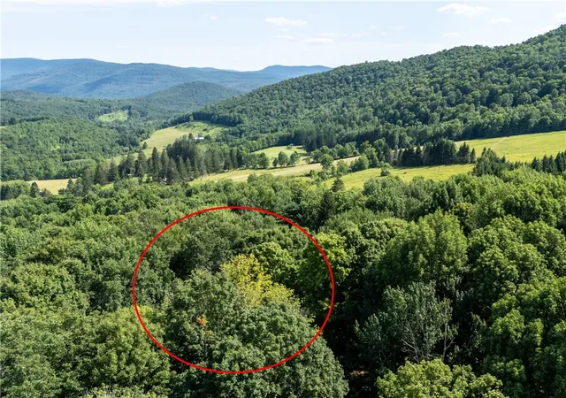 Photo 36 of Land for sale at 253 Davis Holw Rd, Andes, NY 13731 | MLS# R1701282 | Listing updated on 2026-07-30
