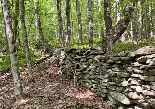 Photo 4 of Land for sale at 253 Davis Holw Rd, Andes, NY 13731 | MLS# R1701282 | Listing updated on 2026-07-30