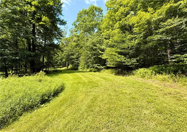 Photo 5 of Land for sale at 253 Davis Holw Rd, Andes, NY 13731 | MLS# R1701282 | Listing updated on 2026-07-30