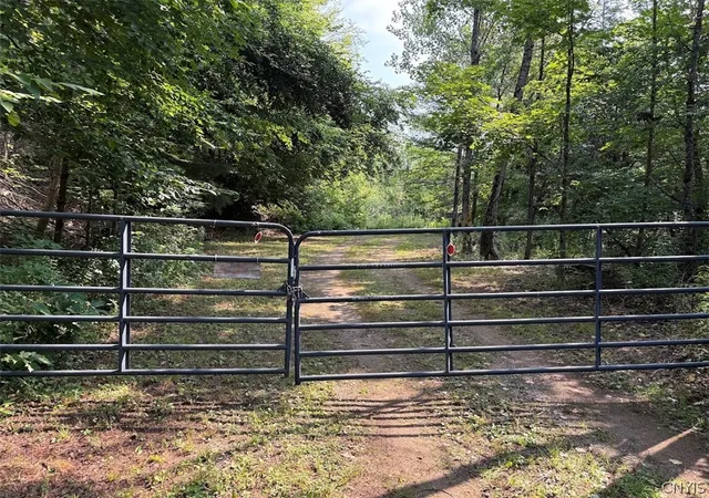 2nd image of 00 State Route 29, Dolgeville, NY 13329 | MLS# S1702397