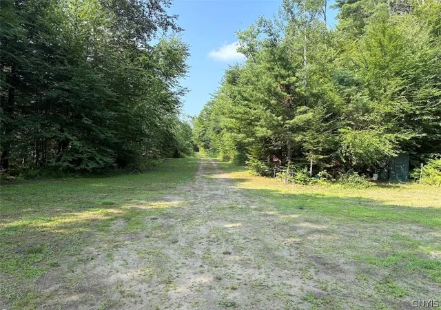 3rd image of 00 State Route 29, Dolgeville, NY 13329 | MLS# S1702397