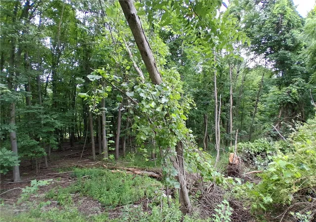 1st image of 108 Skye Island Dr, Union, NY 13760 | MLS# S1702868
