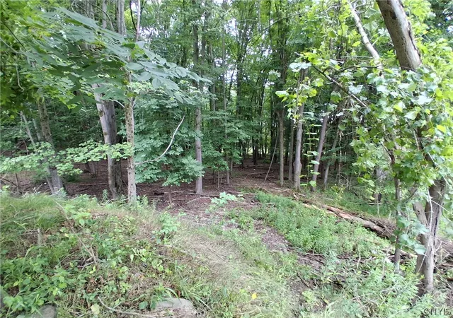 2nd image of 108 Skye Island Dr, Union, NY 13760 | MLS# S1702868