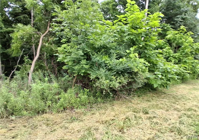 4th image of 108 Skye Island Dr, Union, NY 13760 | MLS# S1702868