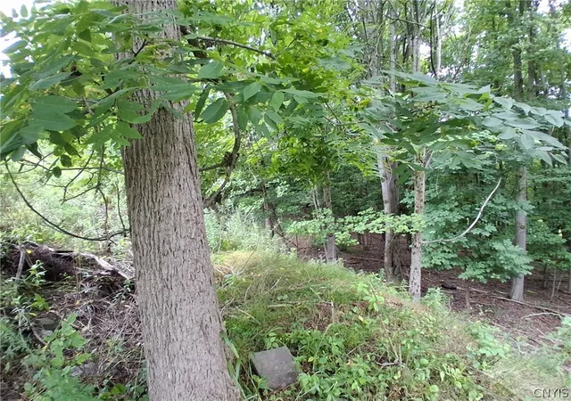 5th image of 108 Skye Island Dr, Union, NY 13760 | MLS# S1702868