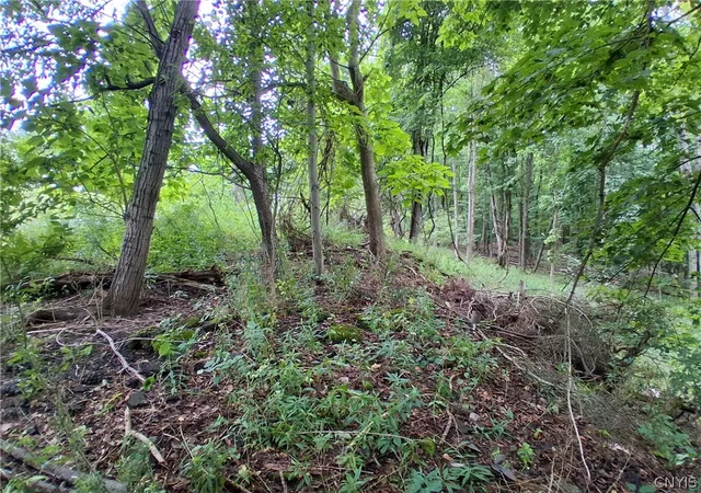 2nd image of 106 Skye Island Dr, Union, NY 13760 | MLS# S1702092