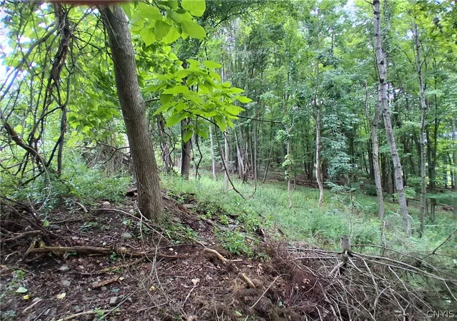 3rd image of 106 Skye Island Dr, Union, NY 13760 | MLS# S1702092
