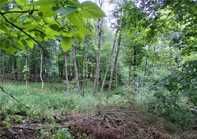 4th image of 106 Skye Island Dr, Union, NY 13760 | MLS# S1702092